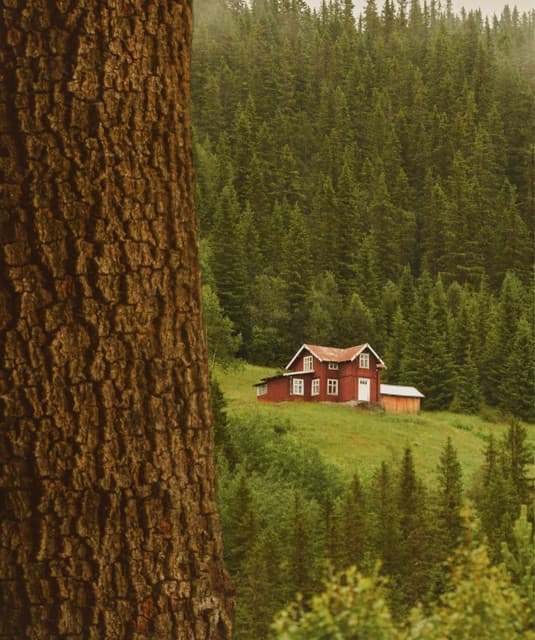 The Cabin Tapes