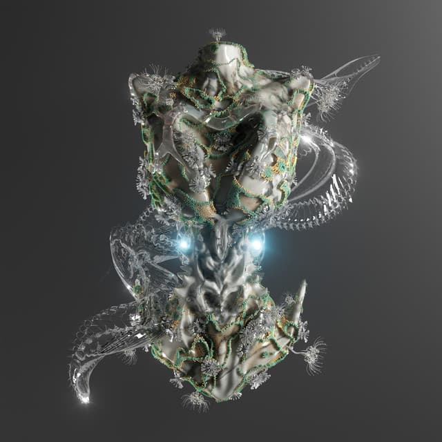 sideral - selva floresta cover