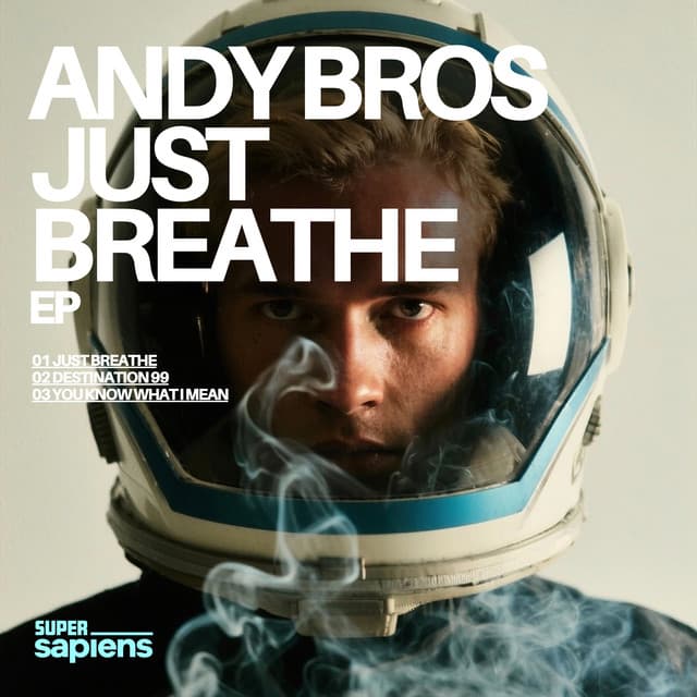andy bros - you know what i mean cover