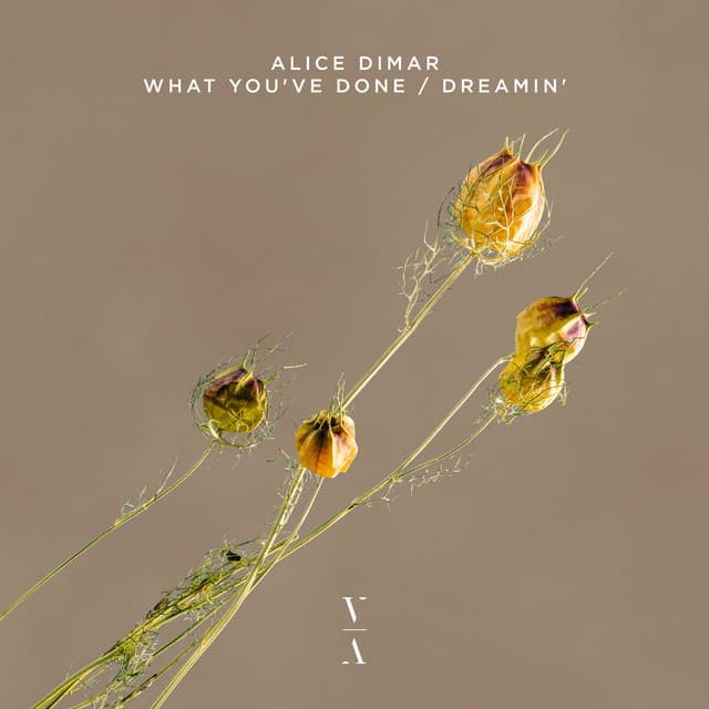alice dimar - dreamin' cover