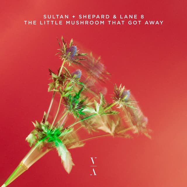sultan + shepard & lane 8 - the little mushroom that got away cover