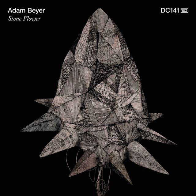 adam beyer - what you need cover