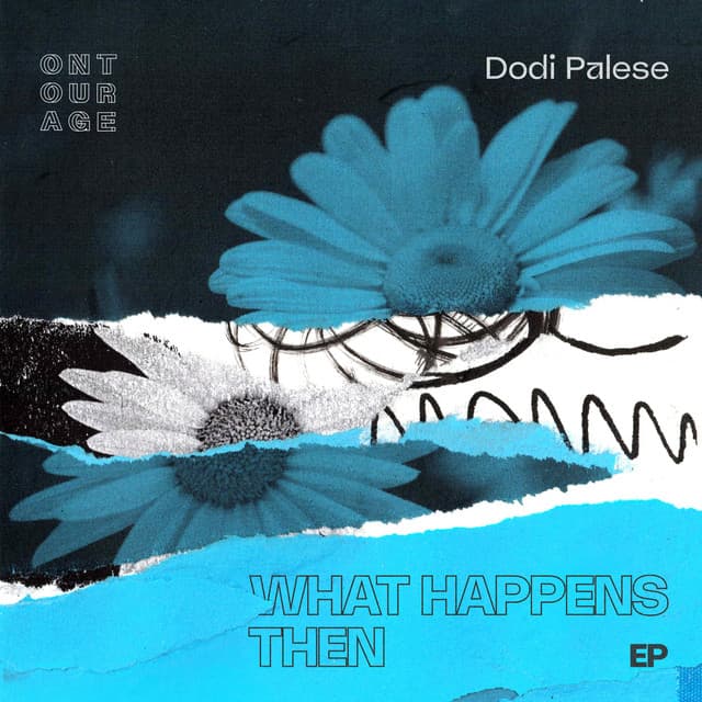 dodi palese - you can't hide cover