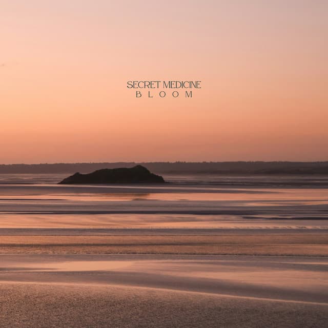 Bloom cover