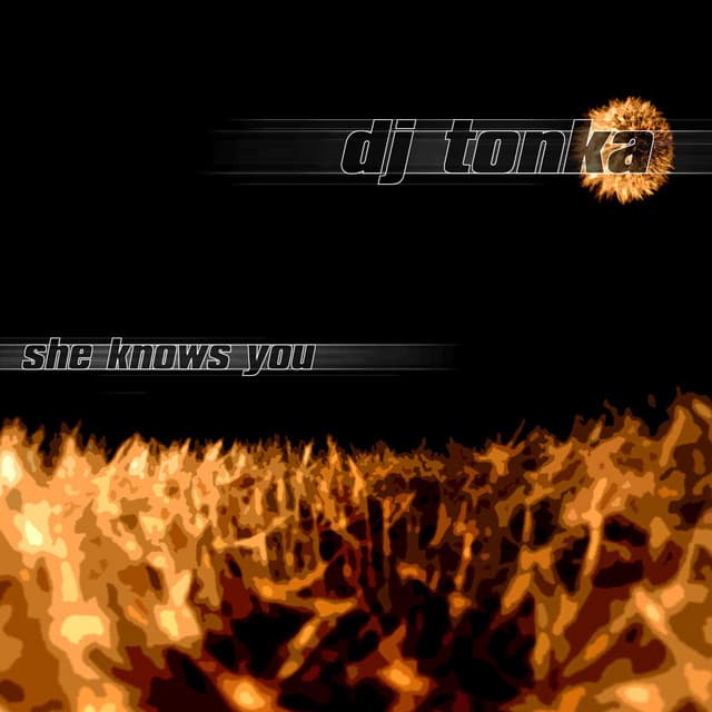 dj tonka - she knows you cover