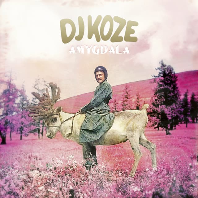 wo cover