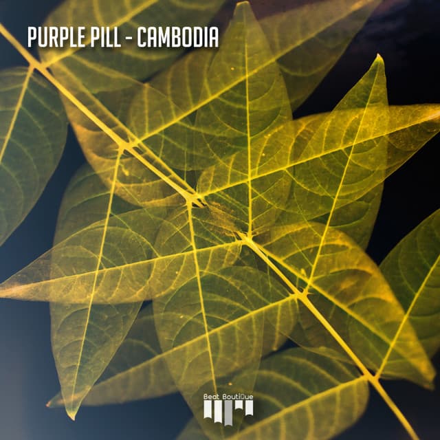 purple pill - cambodia cover