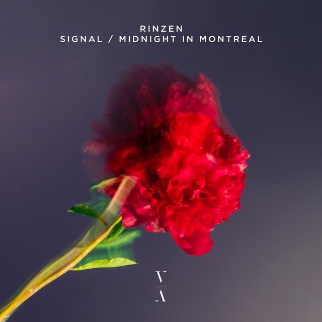 rinzen - midnight in montreal cover
