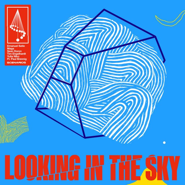 Looking In The Sky