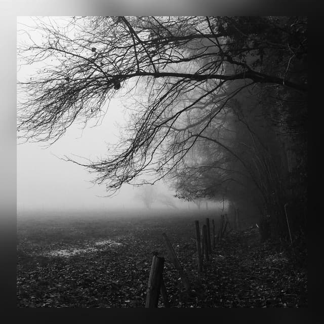 Overcast cover