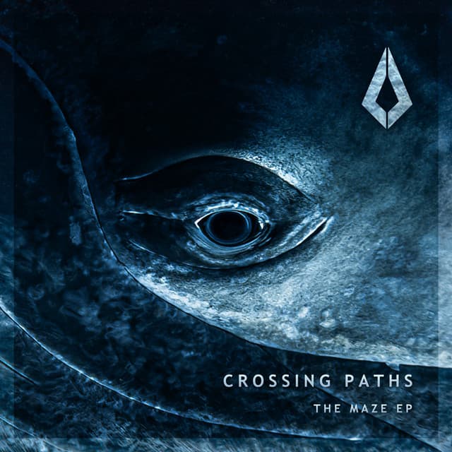 the maze cover
