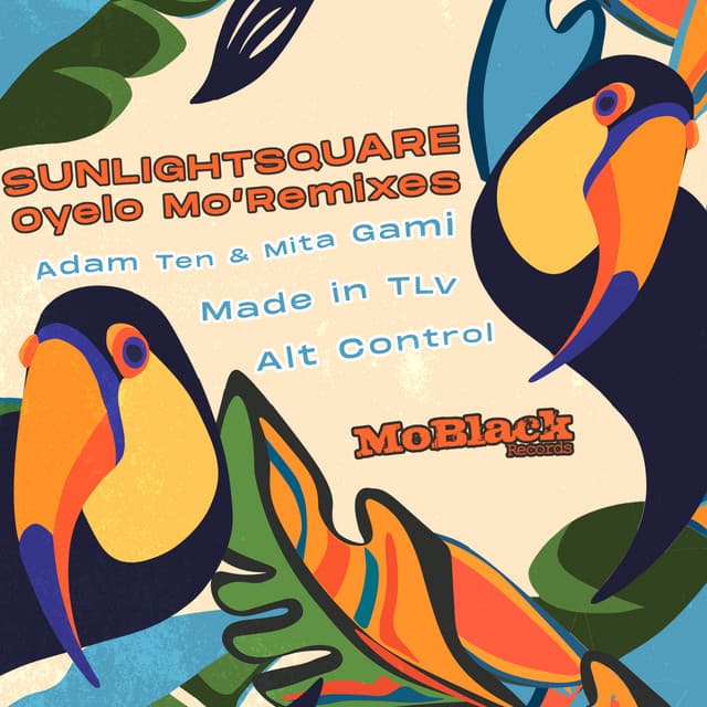 sunlightsquare - oyelo (adam ten & mita gami remix) cover