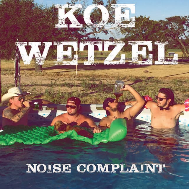 Noise Complaint