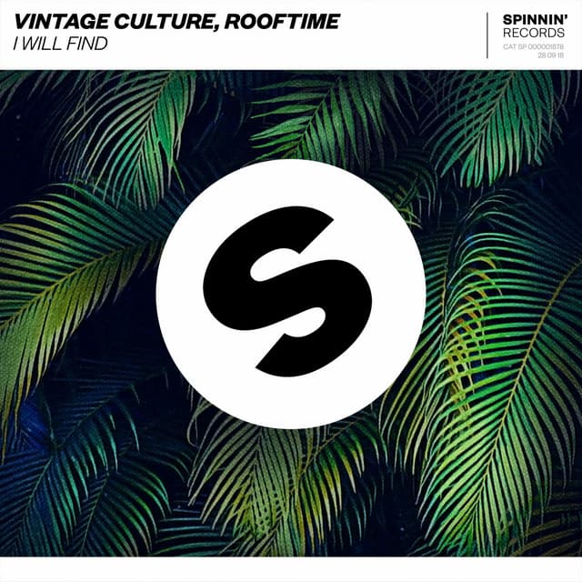 vintage culture & rooftime - i will find cover