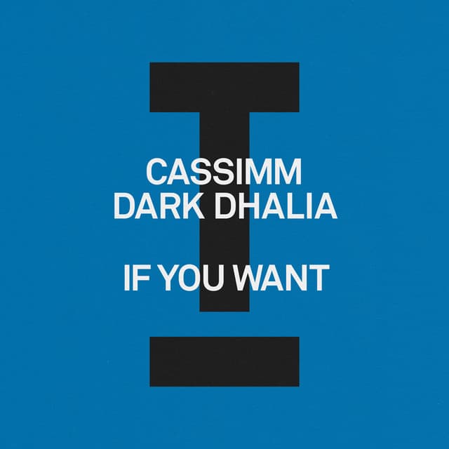 cassimm & dark dhalia - if you want cover