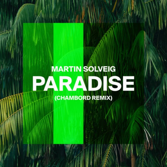 martin solveig - paradise (chambord remix) cover