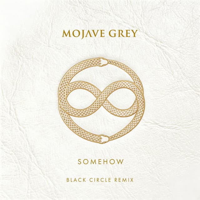 somehow (black circle remix) cover