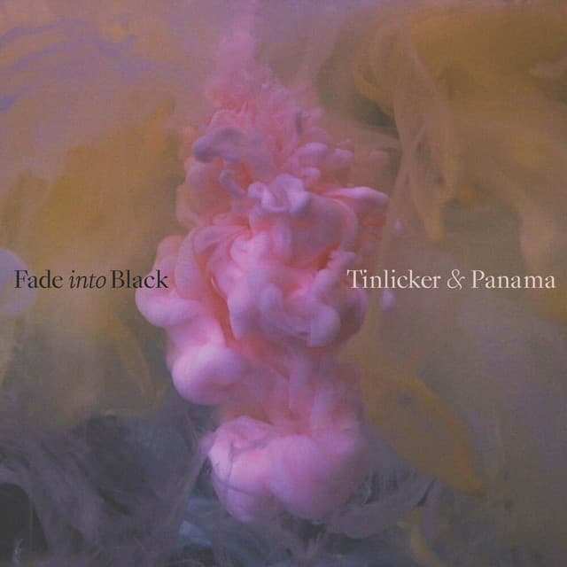 fade into black cover