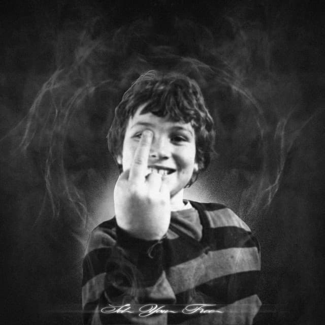 set you free cover