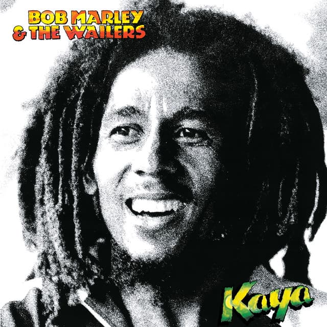 bob marley & the wailers - is this love (dsf touch bootleg) cover