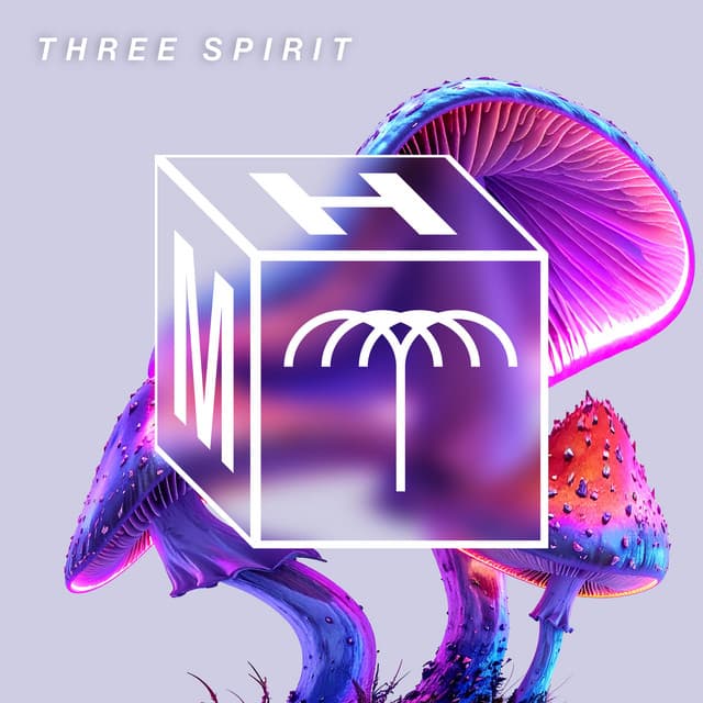 bonafique - three spirit cover