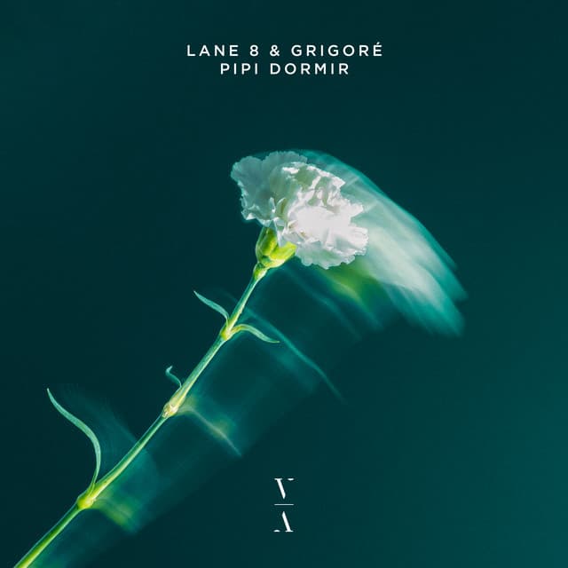 lane 8 & grigoré - pipi dormir cover