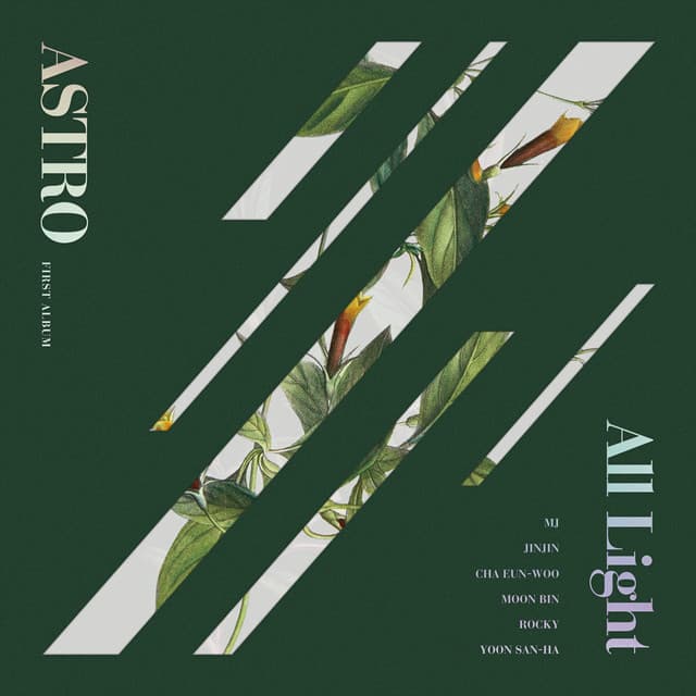 all night cover