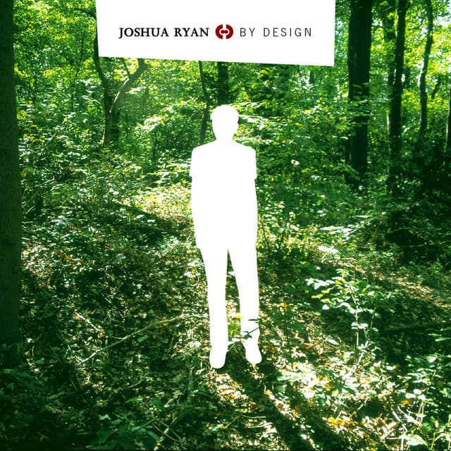 joshua ryan - pistolwhip (james holden remix) cover