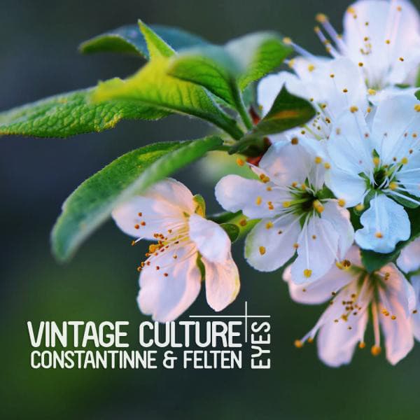 vintage culture & constantinne & felten - eyes cover