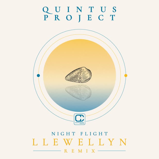 Night Flight (Llewellyn Remix)