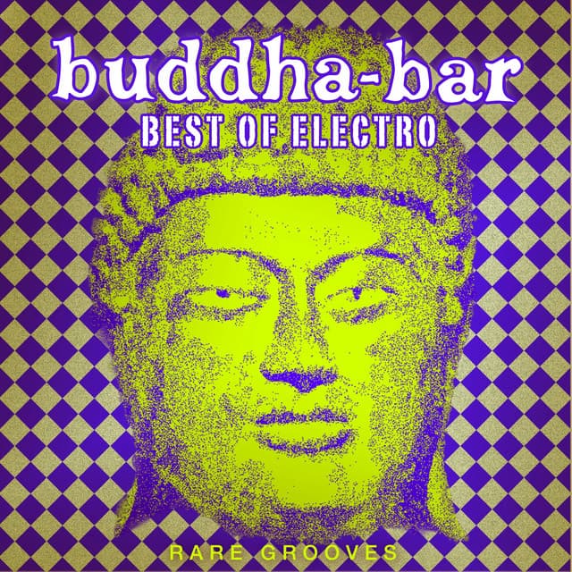 Buddha Bar Best of Electro : Rare Grooves