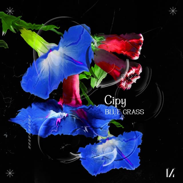 cipy - blue grass cover