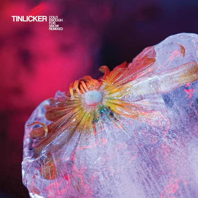 tinlicker - revolution (rival consoles remix) cover