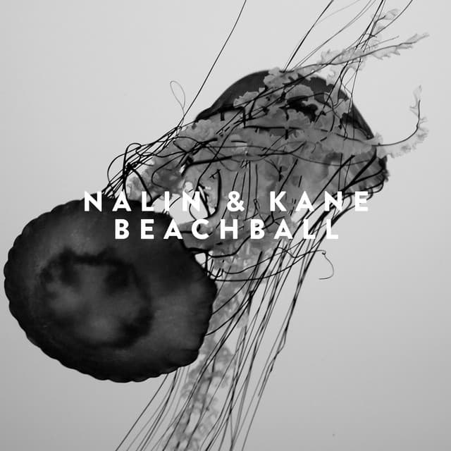 nalin & kane - beachball cover
