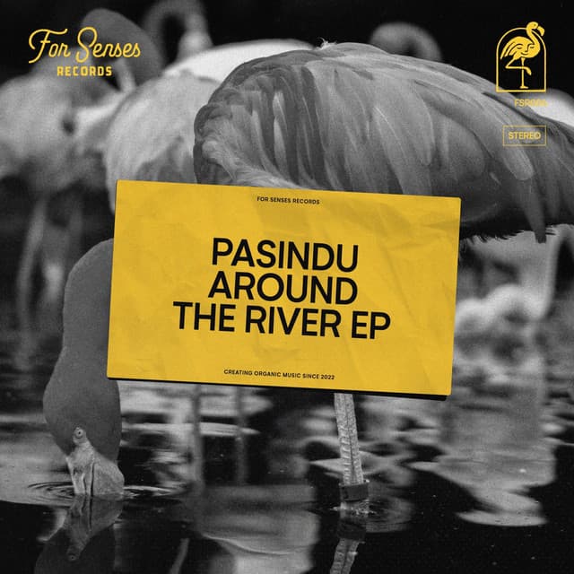 pasindu - around the river cover
