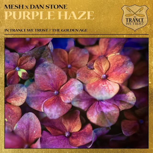 mesh & dan stone - purple haze cover