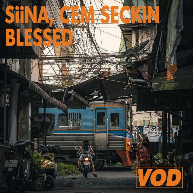 siina & cem seckin - blessed cover