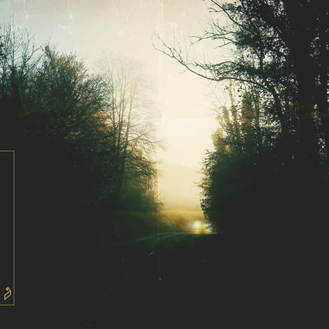 marsh - floodlights cover