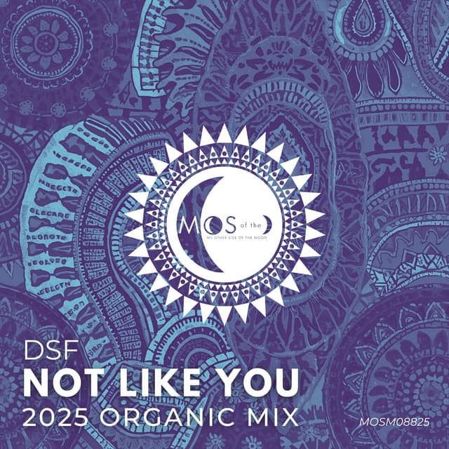 dsf - not like you (2025 organic mix) cover