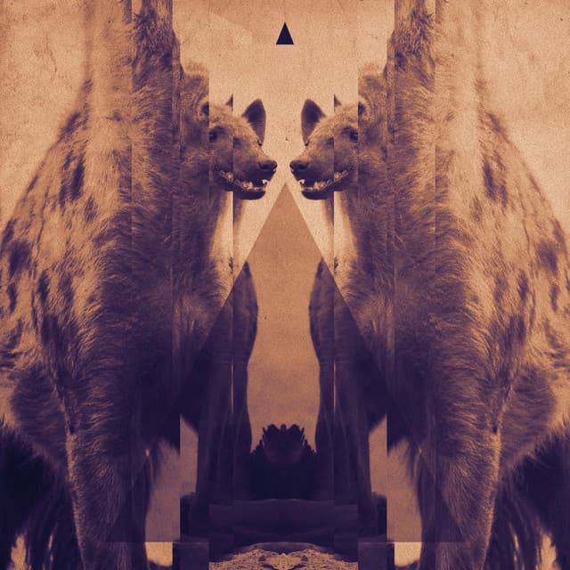 The Idea (Frankey & Sandrino Remix) cover