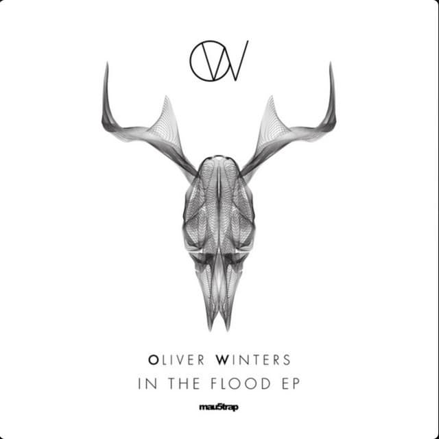 In The Flood (Original Mix) cover