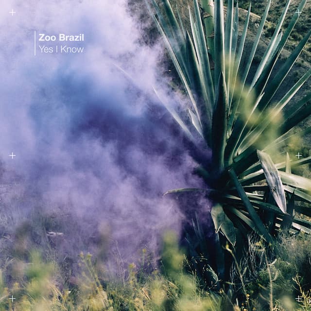 zoo brazil - yes i know cover