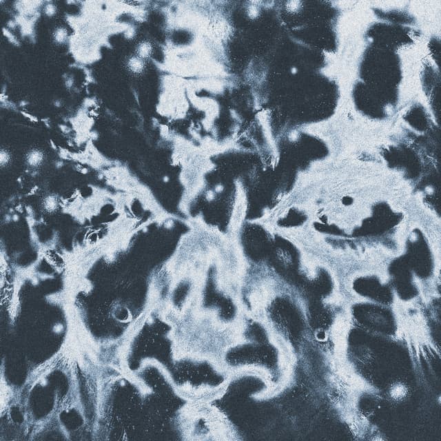 mind dimension (giaggi remix) cover