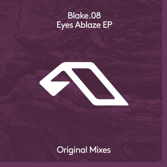 blake.08 - low vision cover