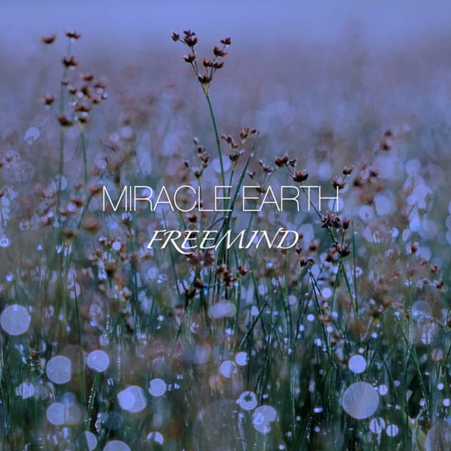 Freemind cover