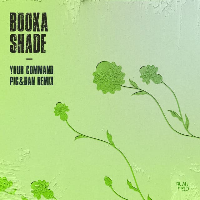 booka shade - your command (pig&dan remix) cover