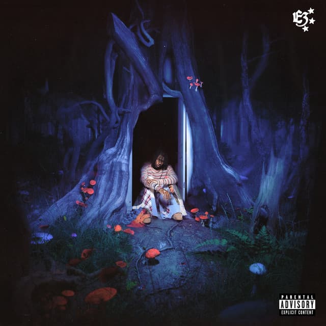 SFB cover