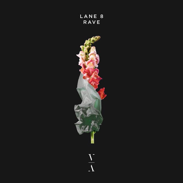 lane 8 - rave cover