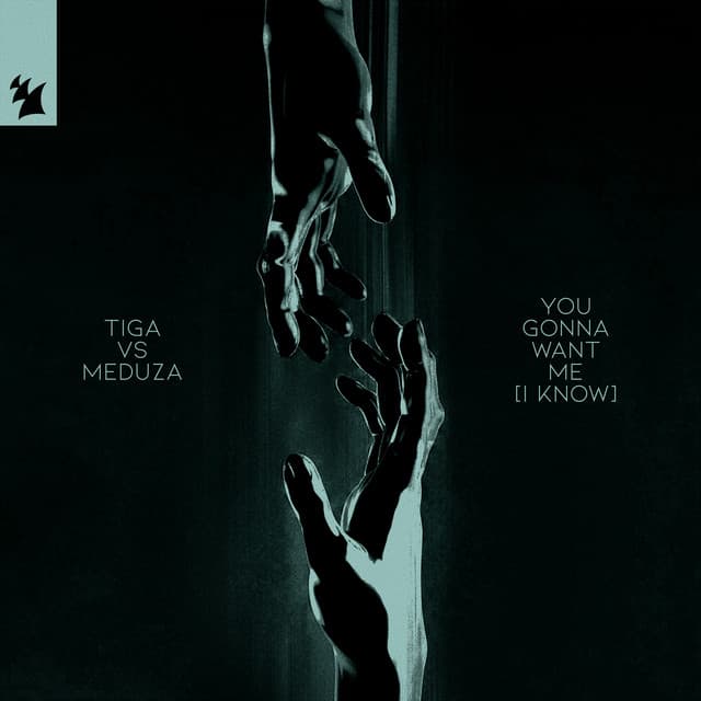 tiga vs. meduza - you gonna want me (i know) cover