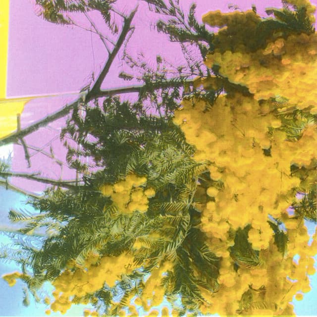 four tet - into dust (still falling) cover